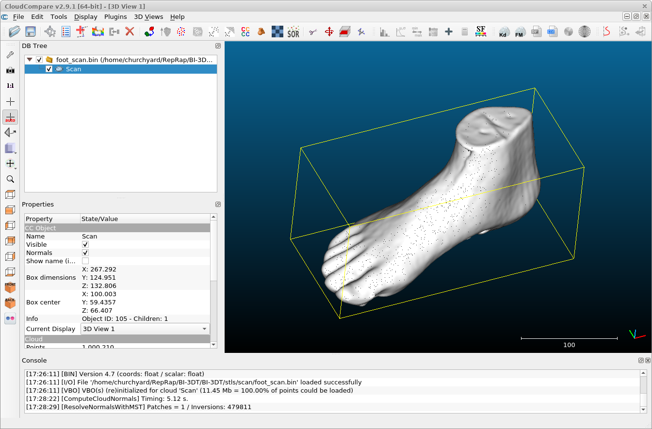cc foot normals inverted