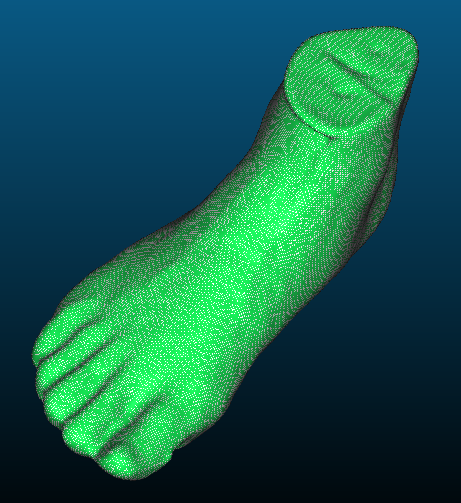 cc foot reconstructed