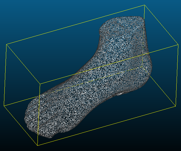 cc foot subsample