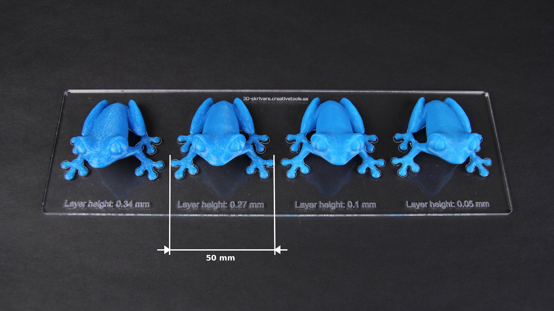 layer height frogs