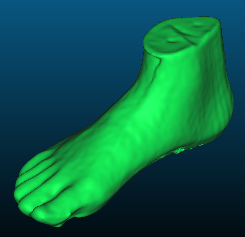cc foot subsampled reconstructed
